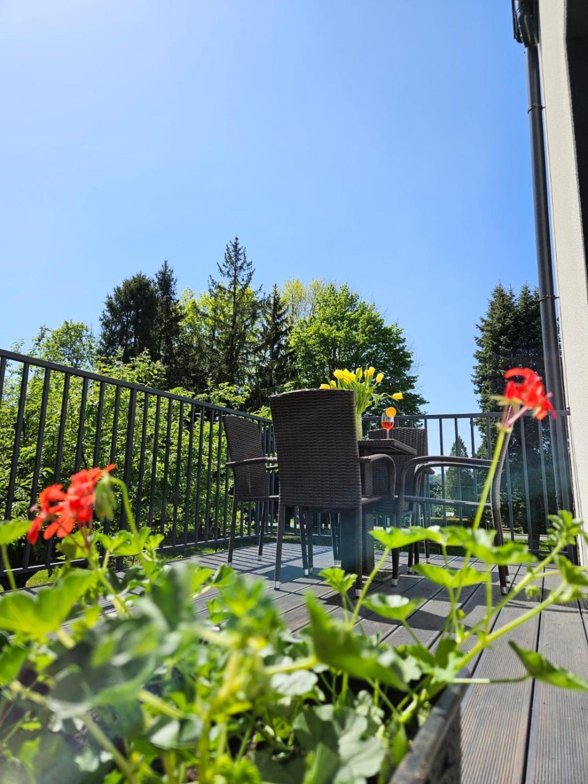 39 Z Pieknym Ogrodem Apartment Ustron